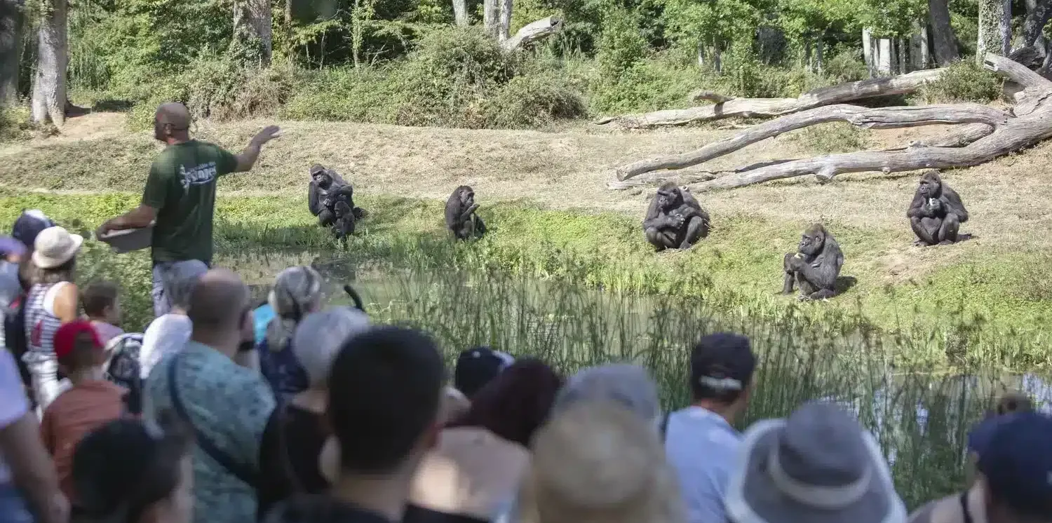 la-vallee-des-singes-c-s.laval-8