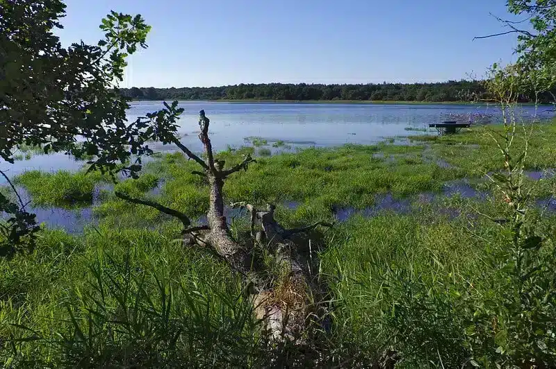 parc naturel régional de la brenne indre
