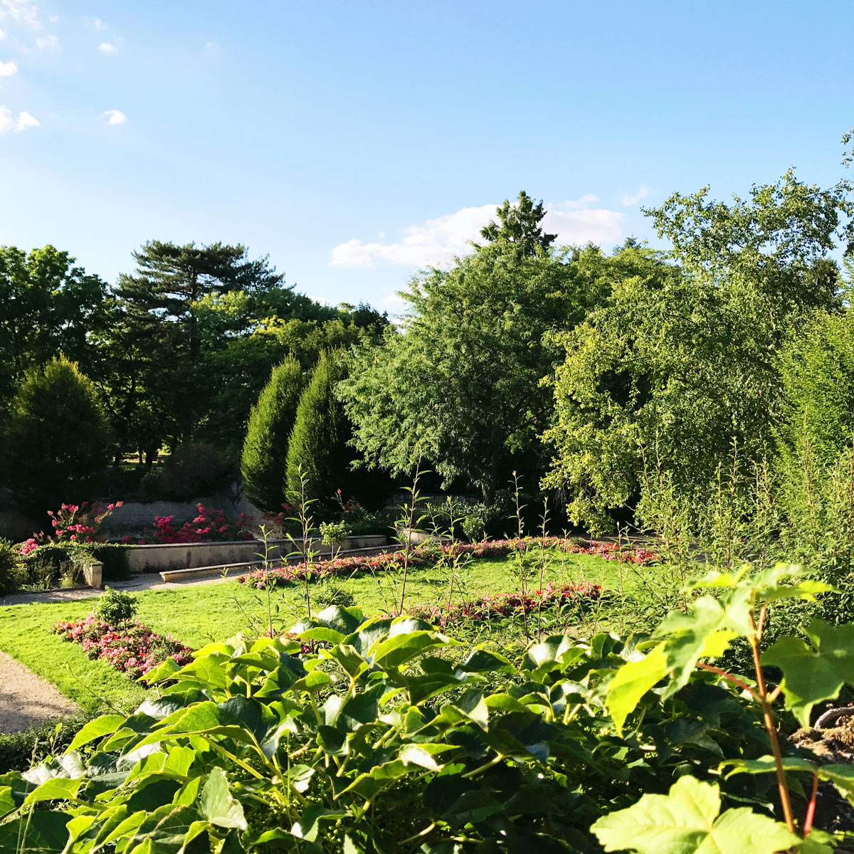 jardin botanique chateauroux