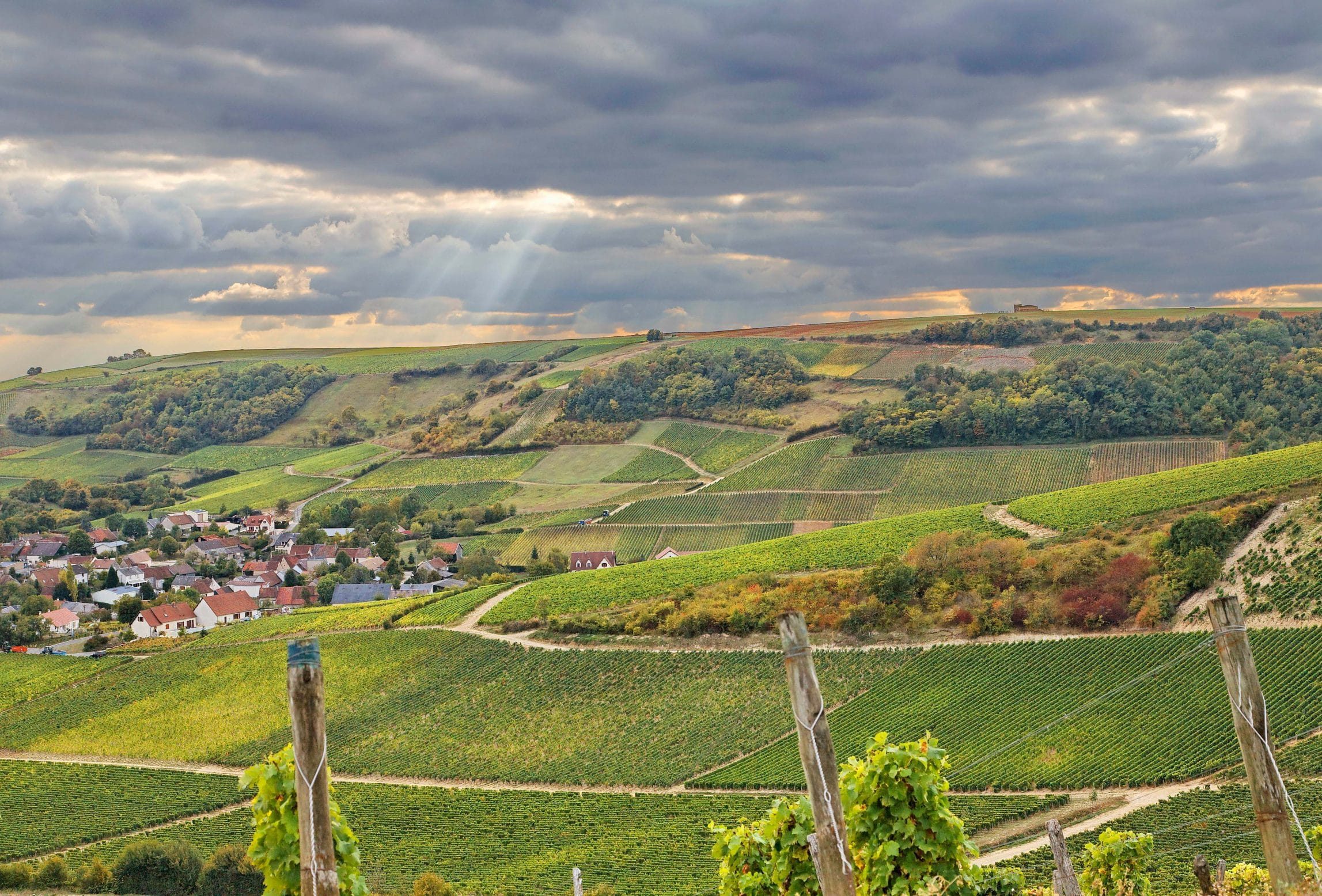 Sancerre Nièvre