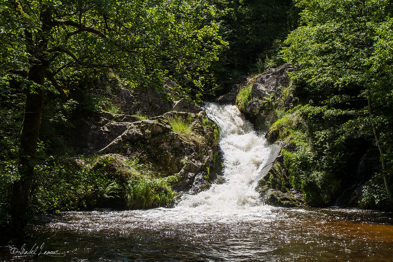 saut-de-gouloux-mabel-lamour