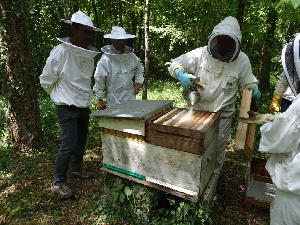 apiculteurs association abeille miel gatinais