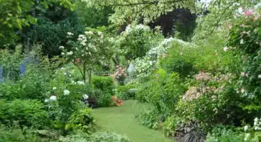 Jardin d'Andre Eve