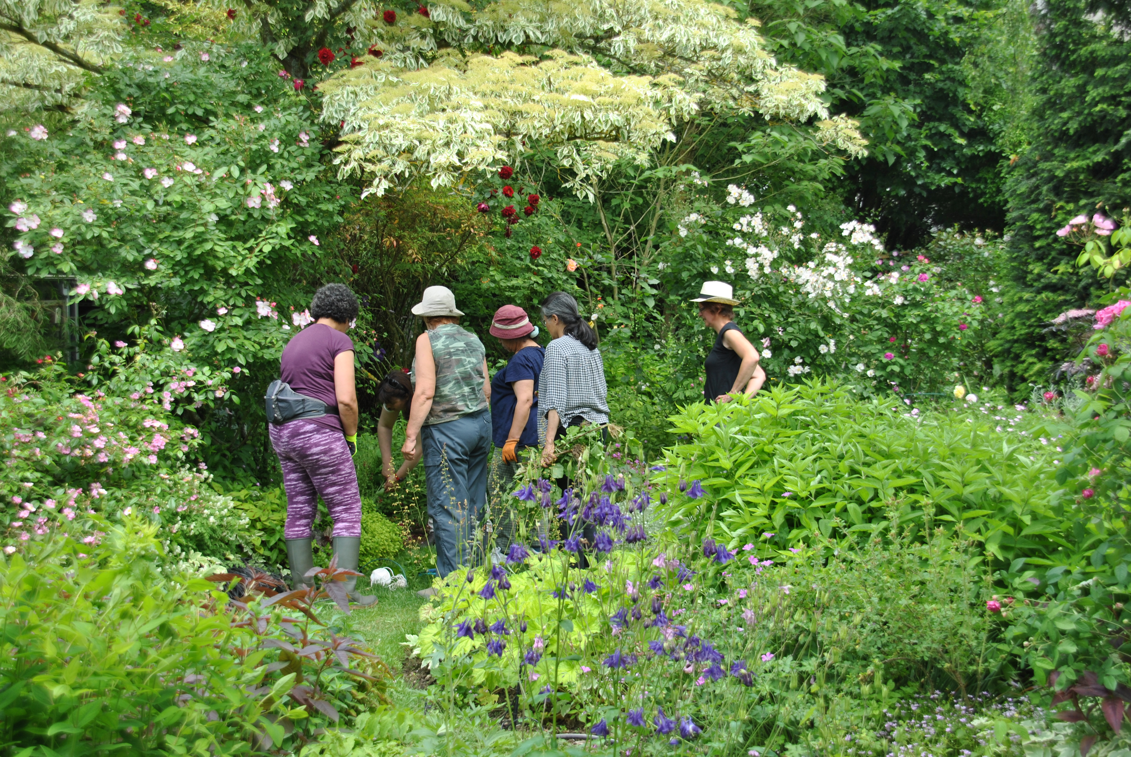 Jardin d'Andre Eve