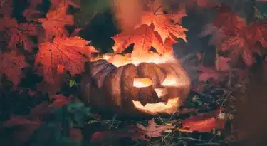 Citrouilles bandeau halloween 2020