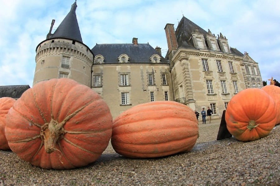 Citrouilles Halloween dans les jardins du château d'Azay-le-Ferron