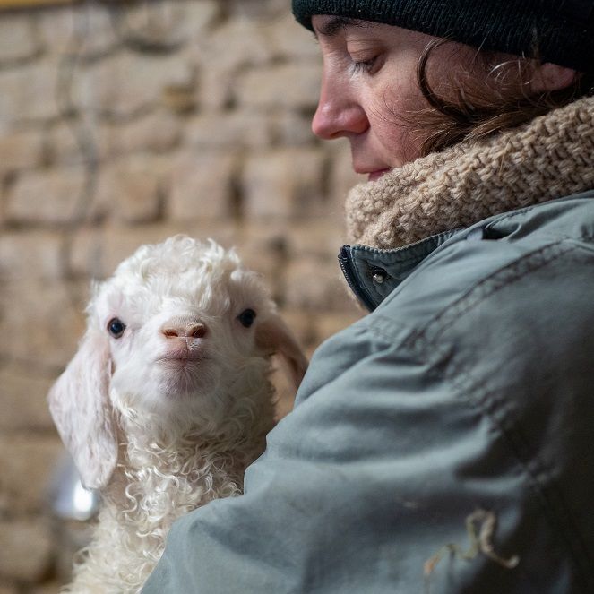 ferme des p'tits bergers à Chaussy