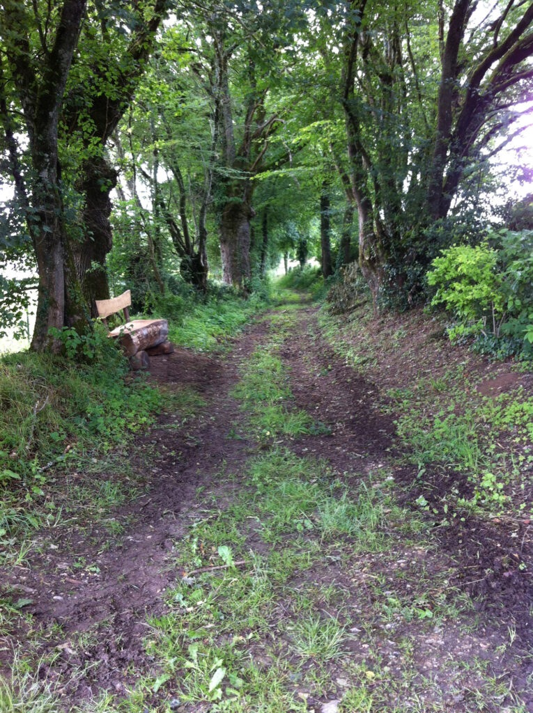 Sentier rural et botanique