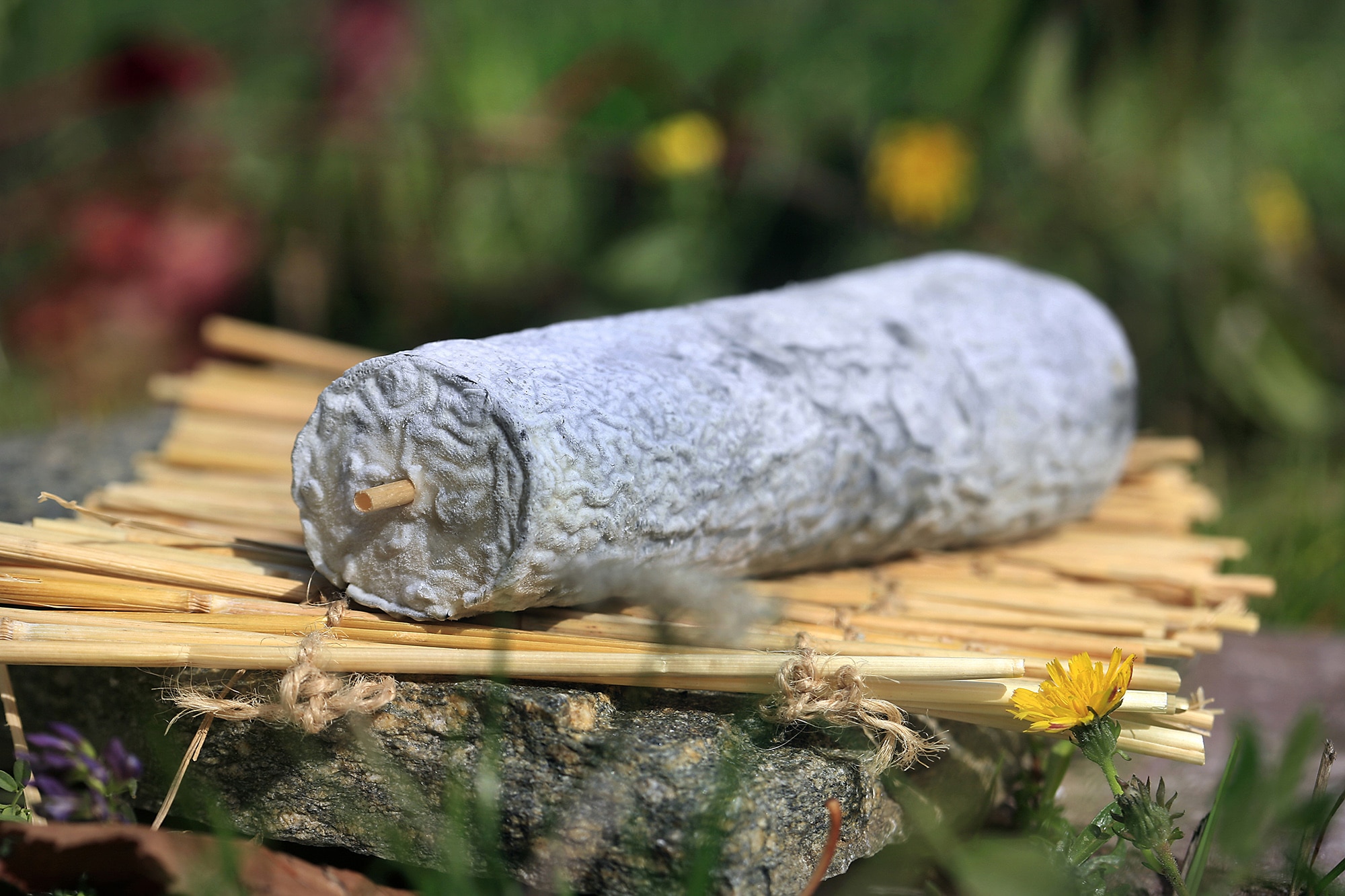 SainteMauredeTouraine, fromage à la paille Val de Loire SainteMauredeTouraine, fromage à la paille Val de Loire