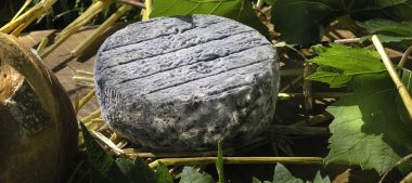 Le selles-sur-cher, fromage caprin du Loir-et-Cher