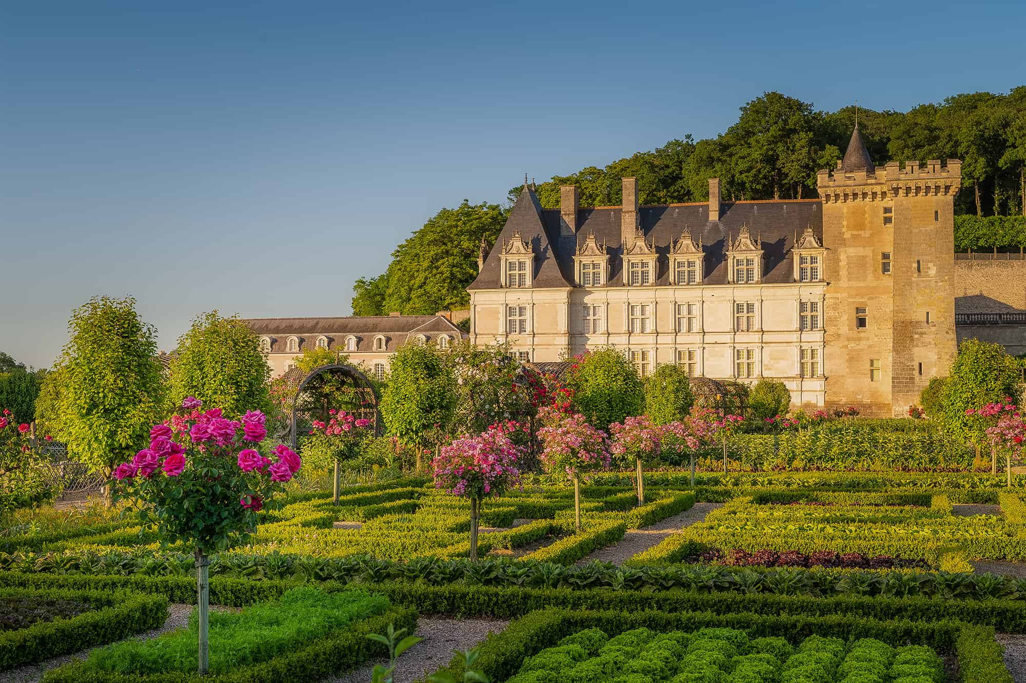 Chateau-jardins-Villandry