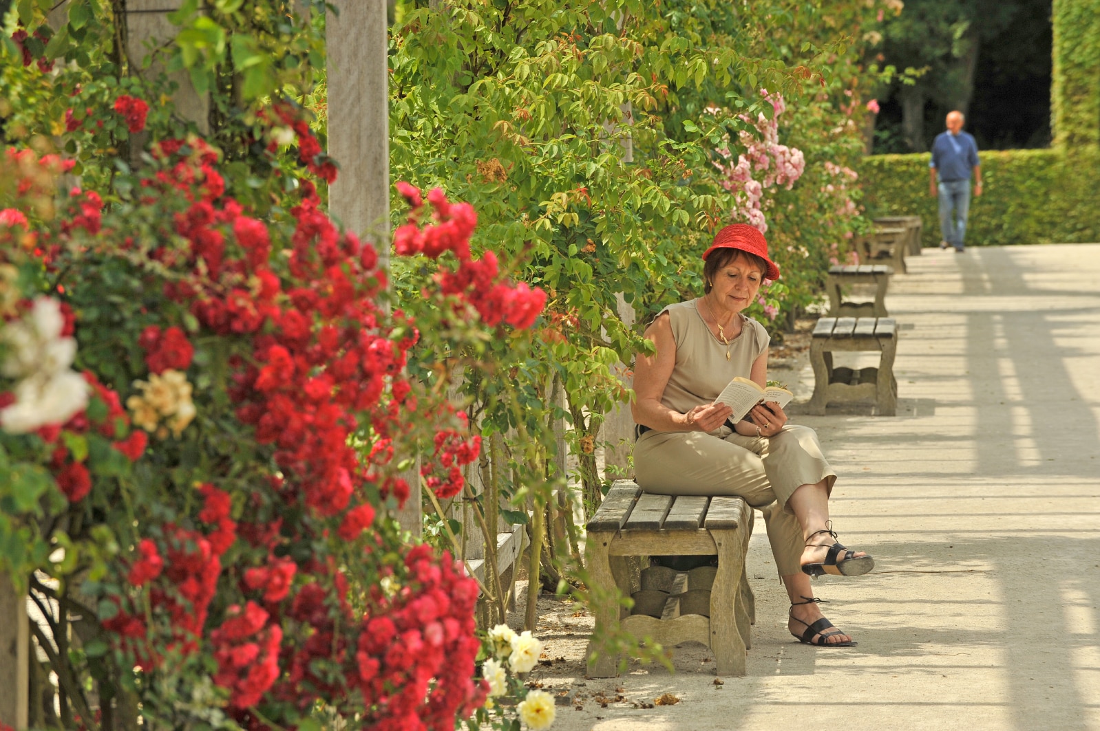 Jardin roseraie du château de chamerolles route de la rose Loiret