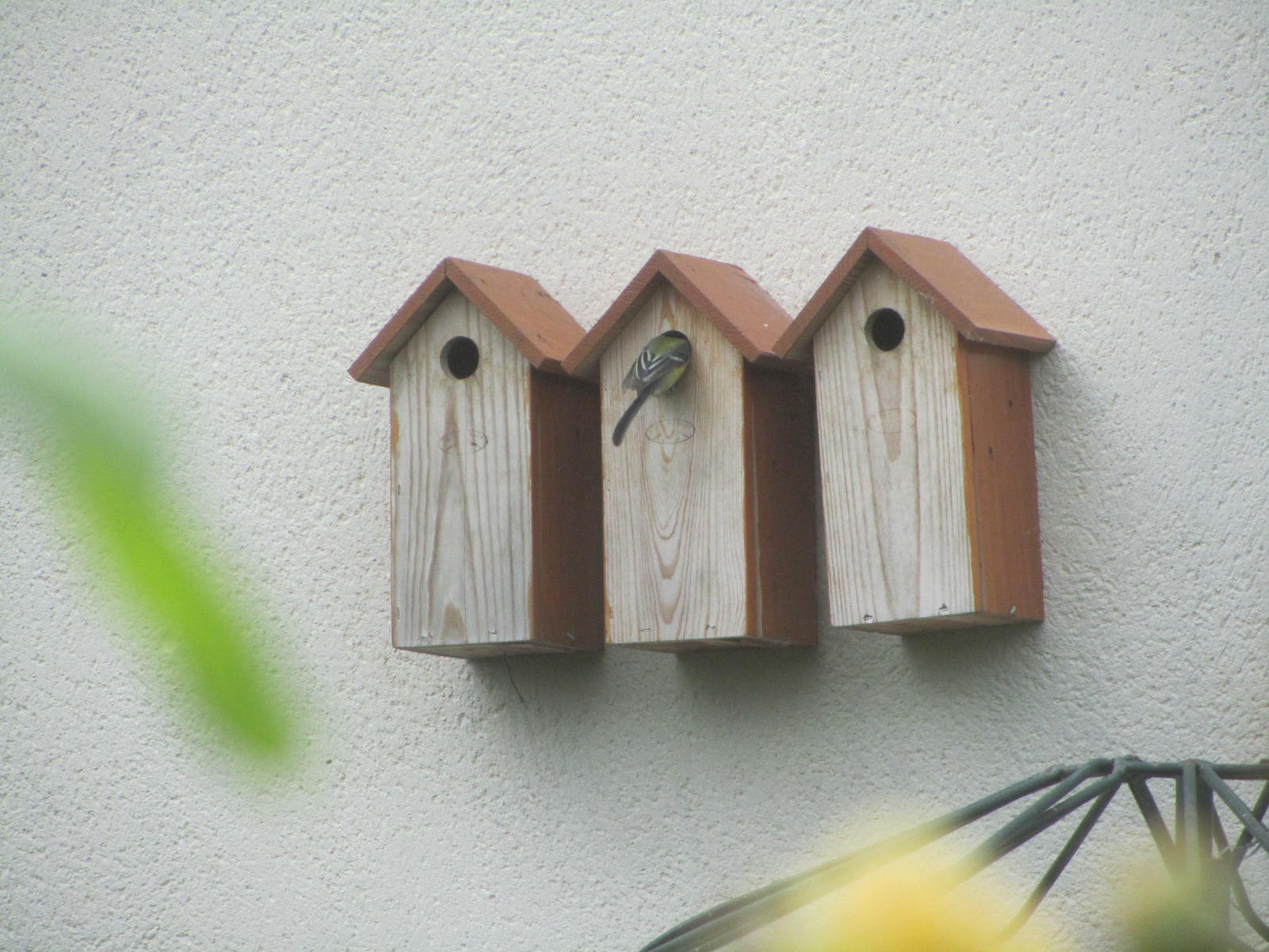 nichoir oiseau la roseraie de brigitte à cormeray (41)