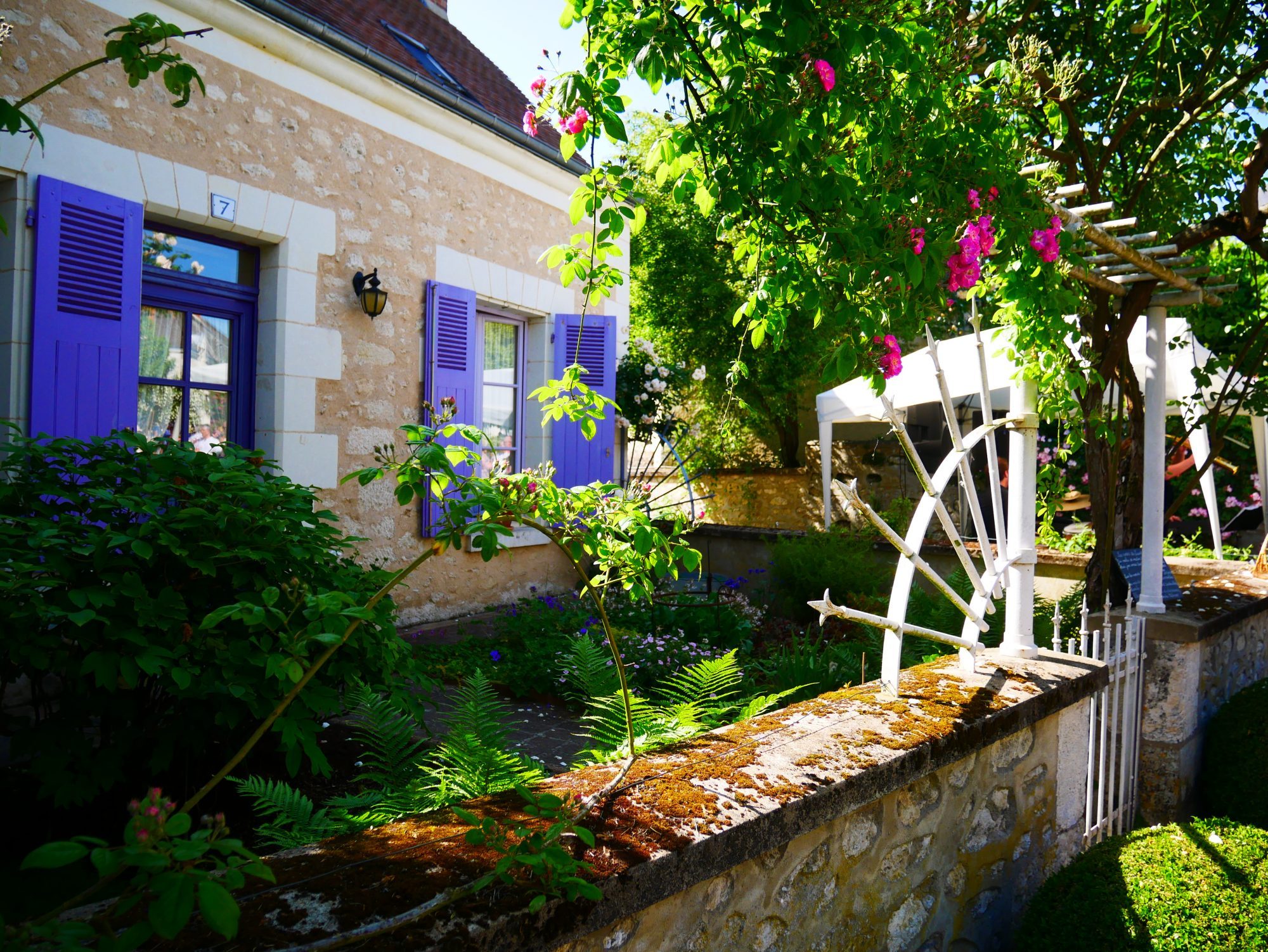 Chédigny en Touraine