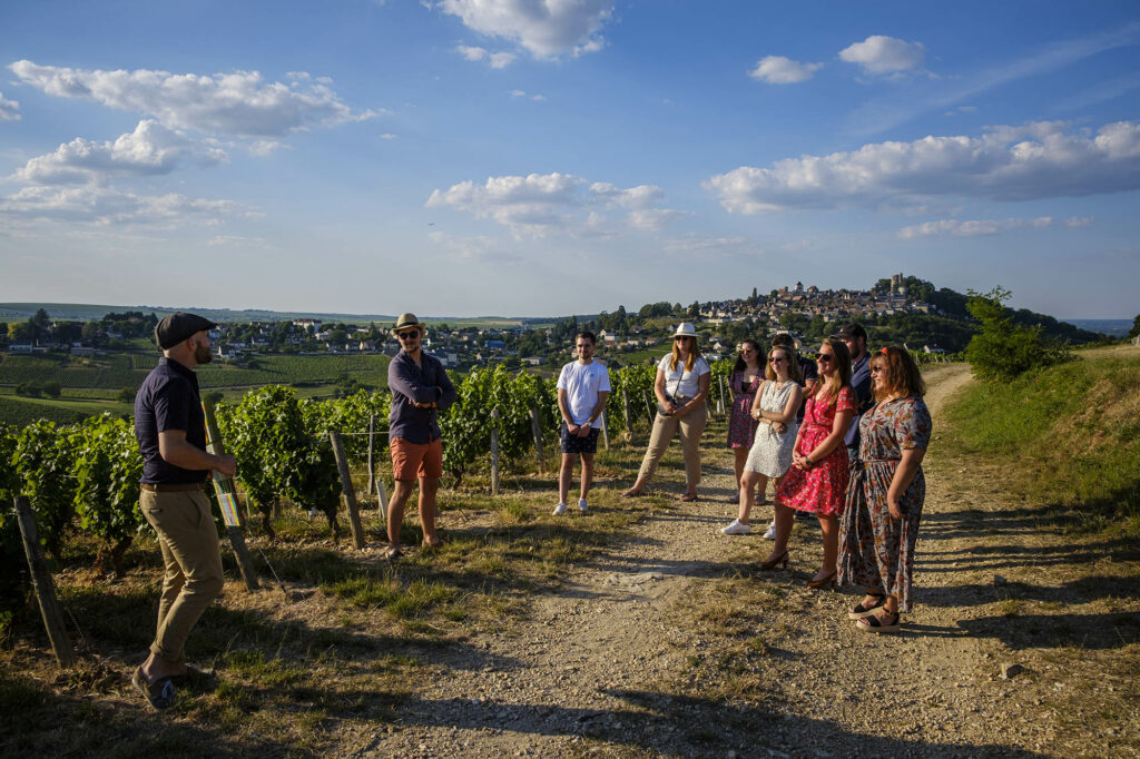 It's WIne Time Sancerre