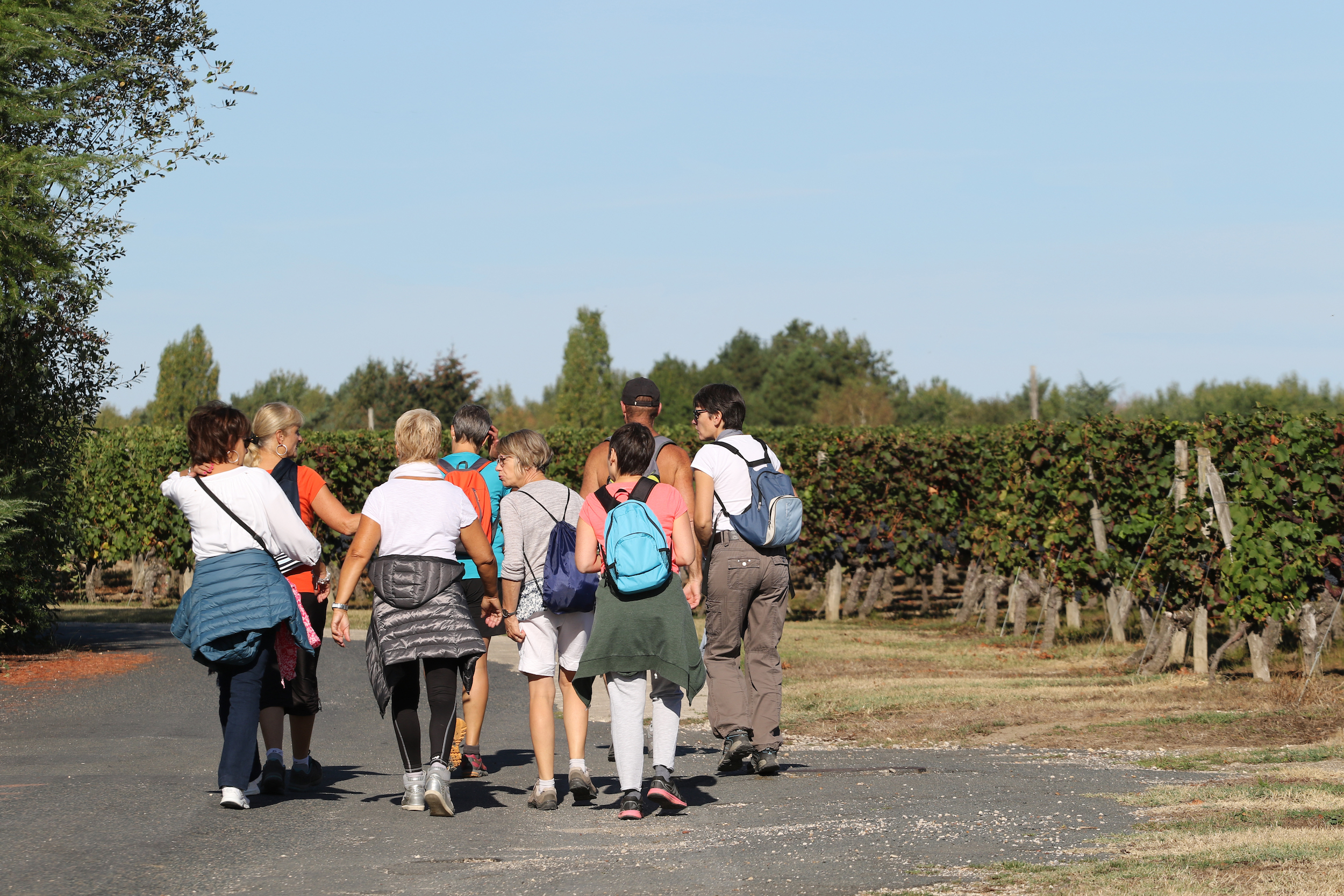 fete des vendanges de cheverny