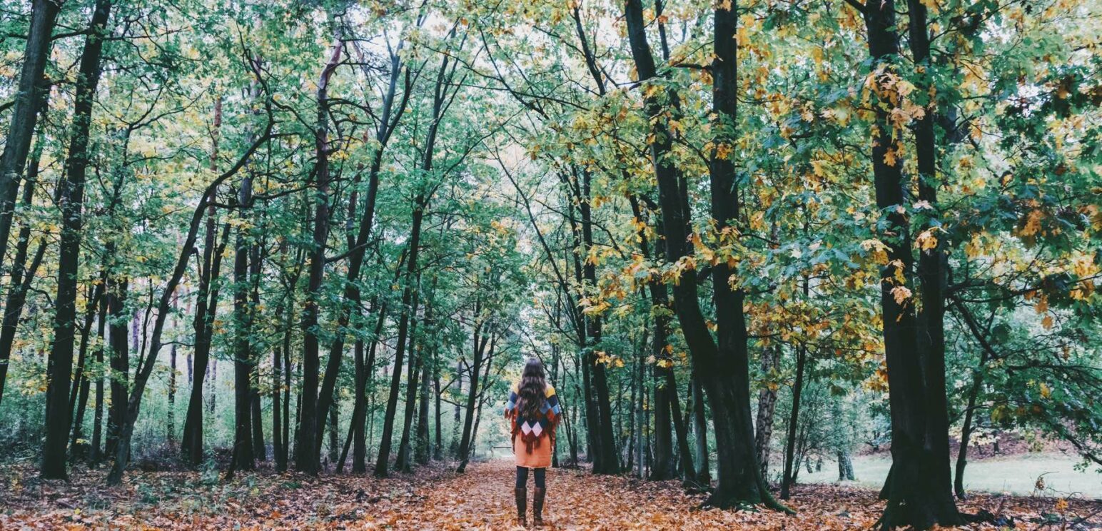 automne