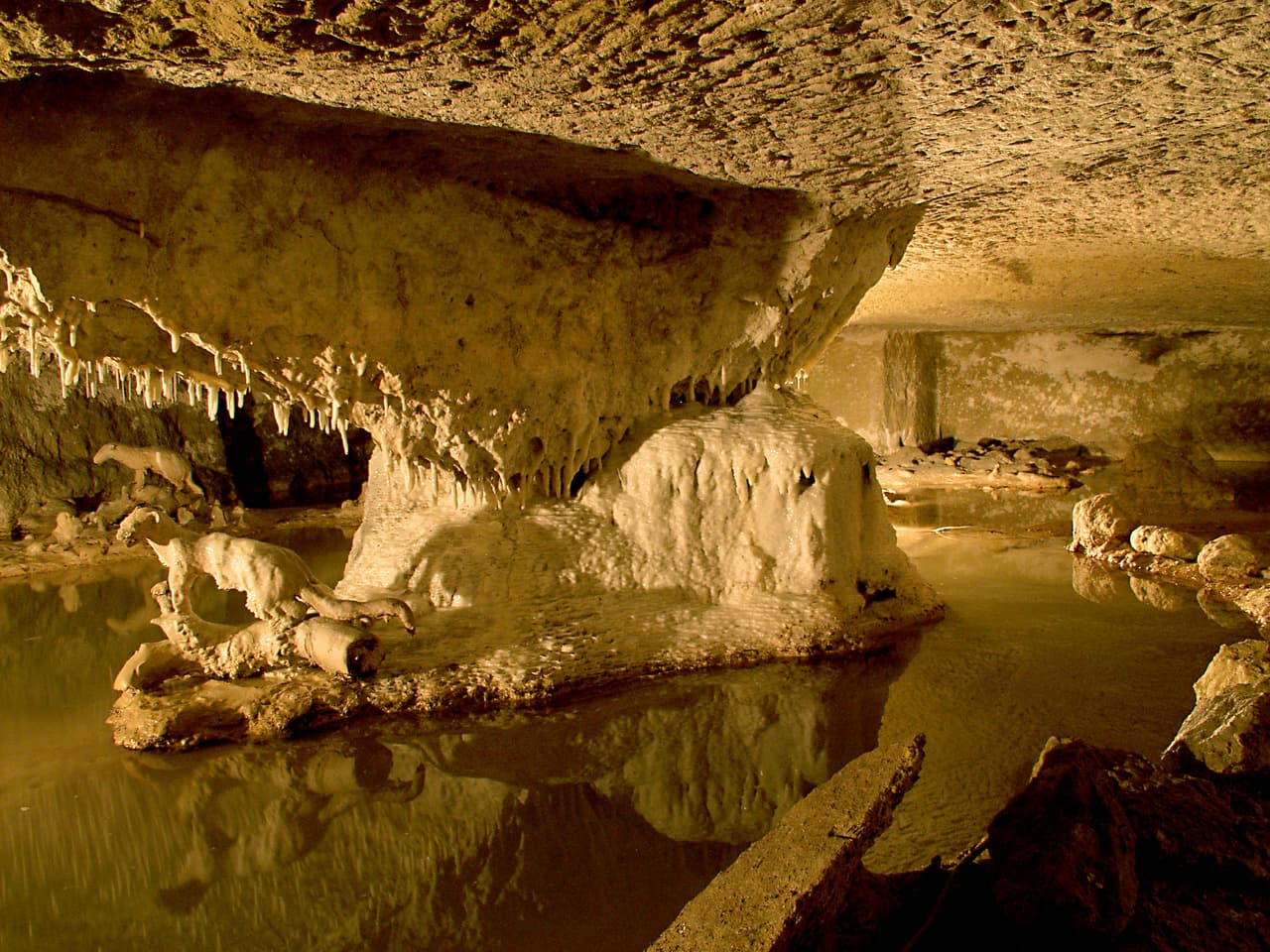 Les grottes pétrifiantes de Savonnières