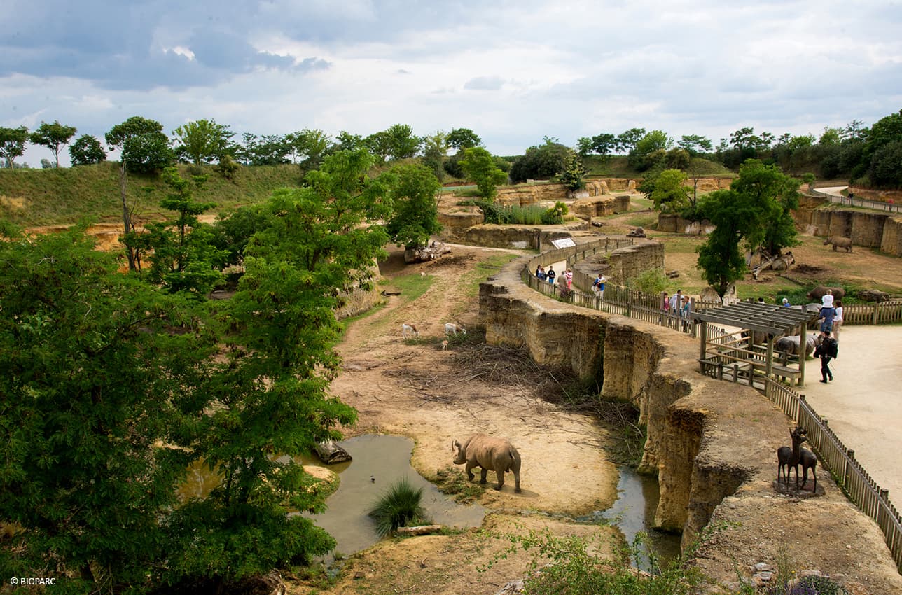 Vallée des Rhinocéros, Bioparc de Doué la Fontaine