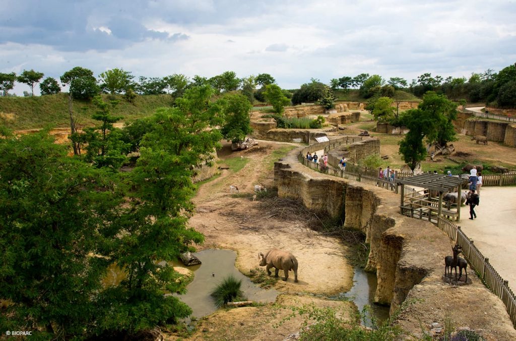 Vallée des Rhinocéros, Bioparc de Doué la Fontaine
