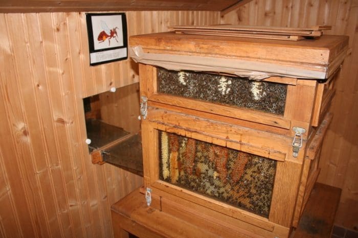 Musée Apiculture - Château-Renard