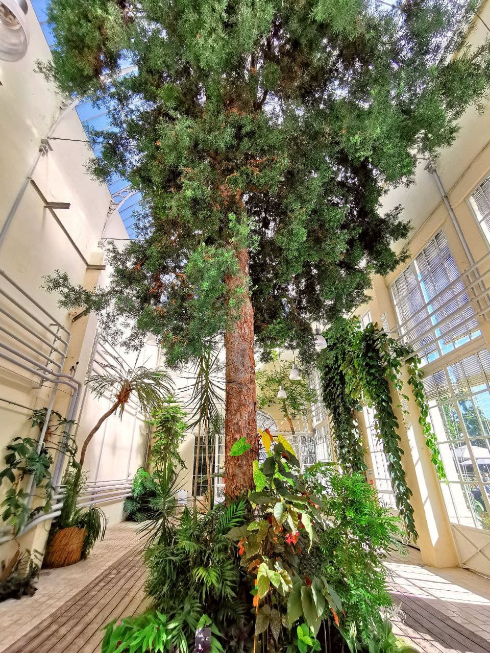 Visitez le jardin des plantes d'Orléans | Val de Loire