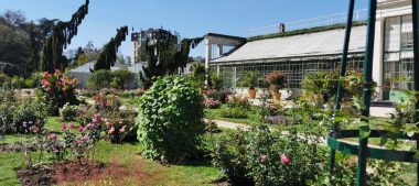 Visitez le jardin des plantes d’Orléans !