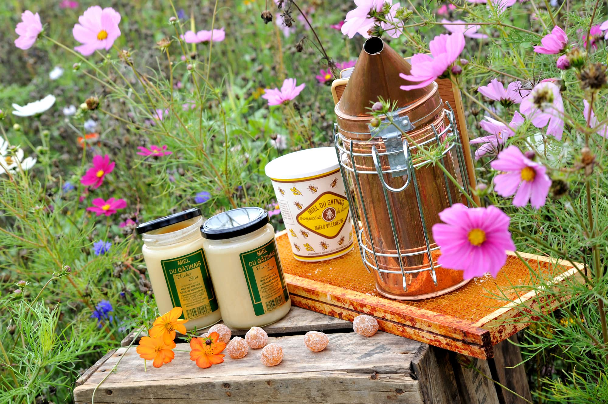 Musée vivant de l'apiculture