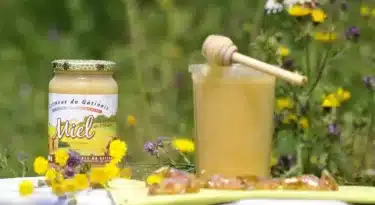 Musée vivant de l'apiculture