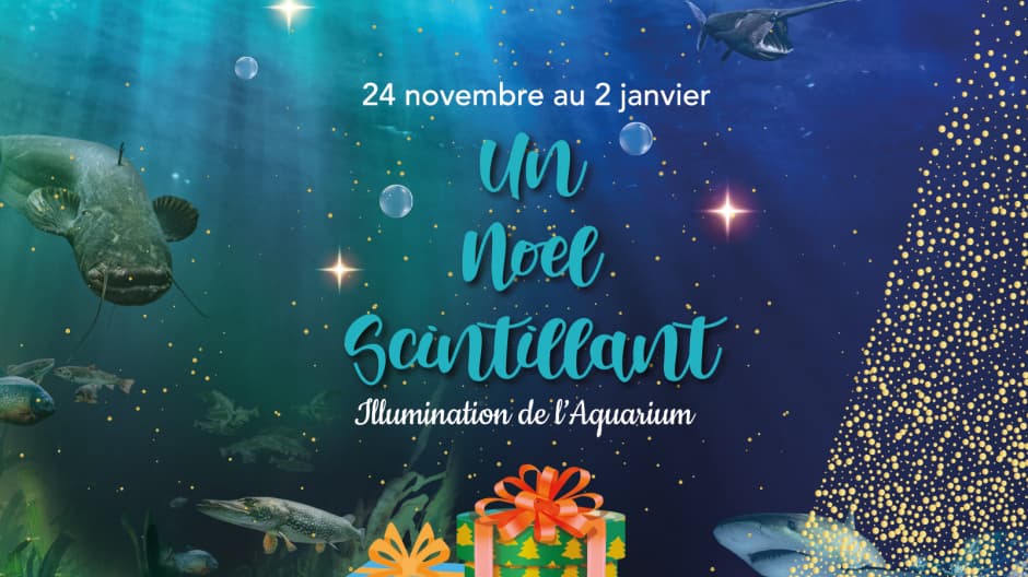 Noel scintillant au Grand Aquarium de Touraine