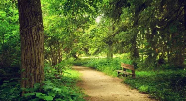 les parcs et jardins à Nevers