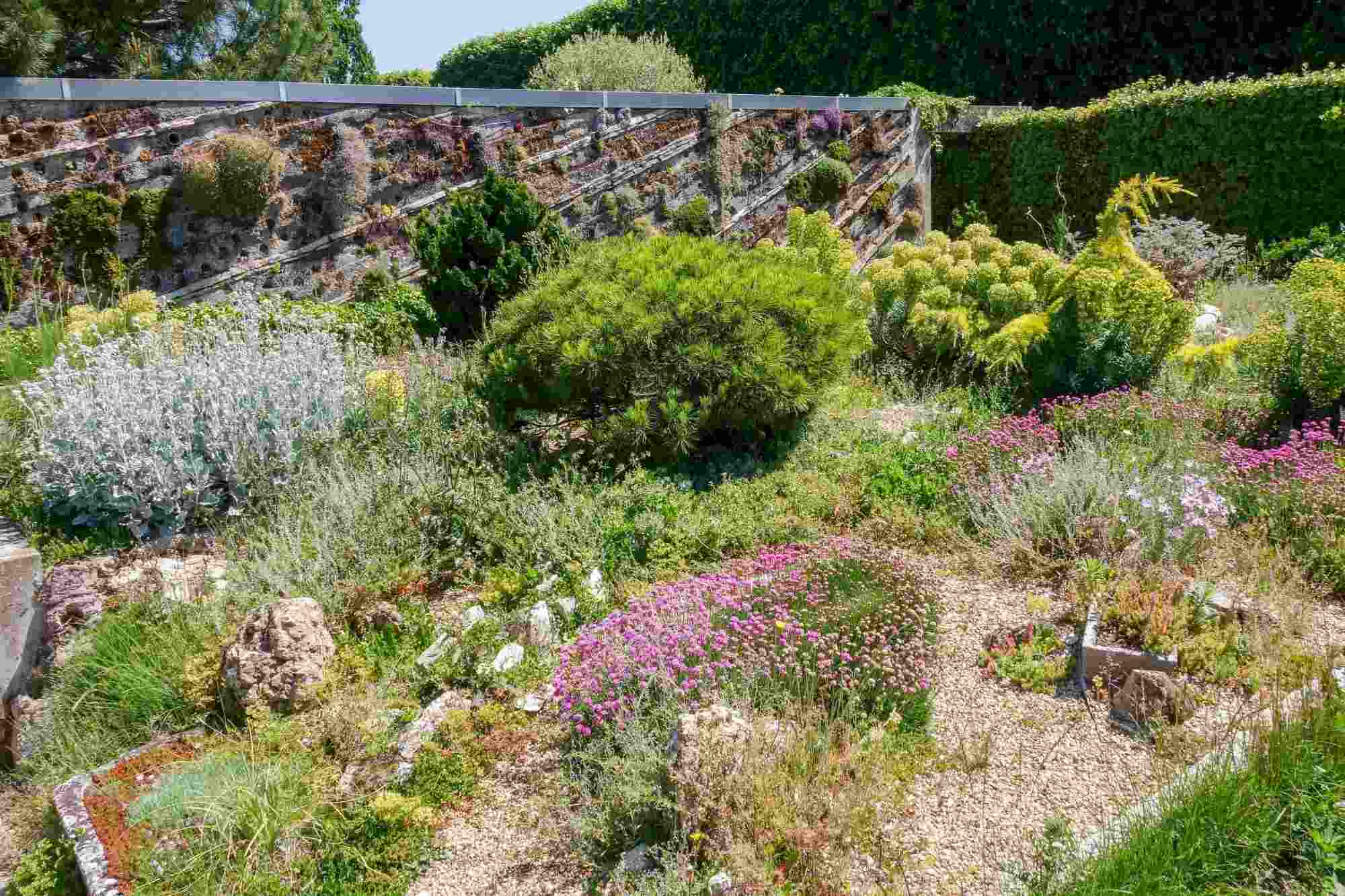 Jardin des plantes  Orléans métropole