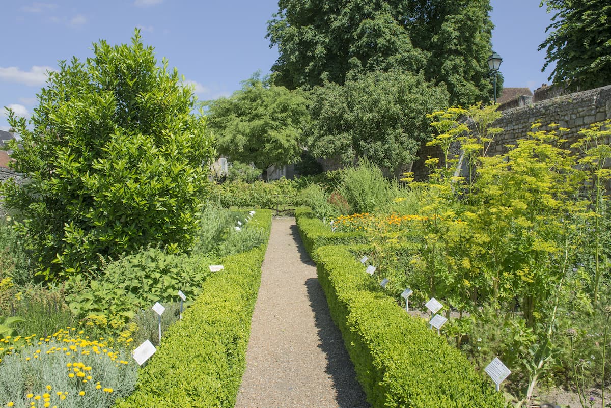 Jardins châteaudun