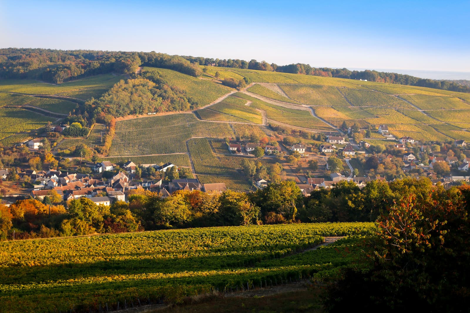 Vignoble de Sancerre