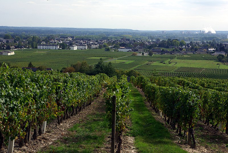 Bourgueil