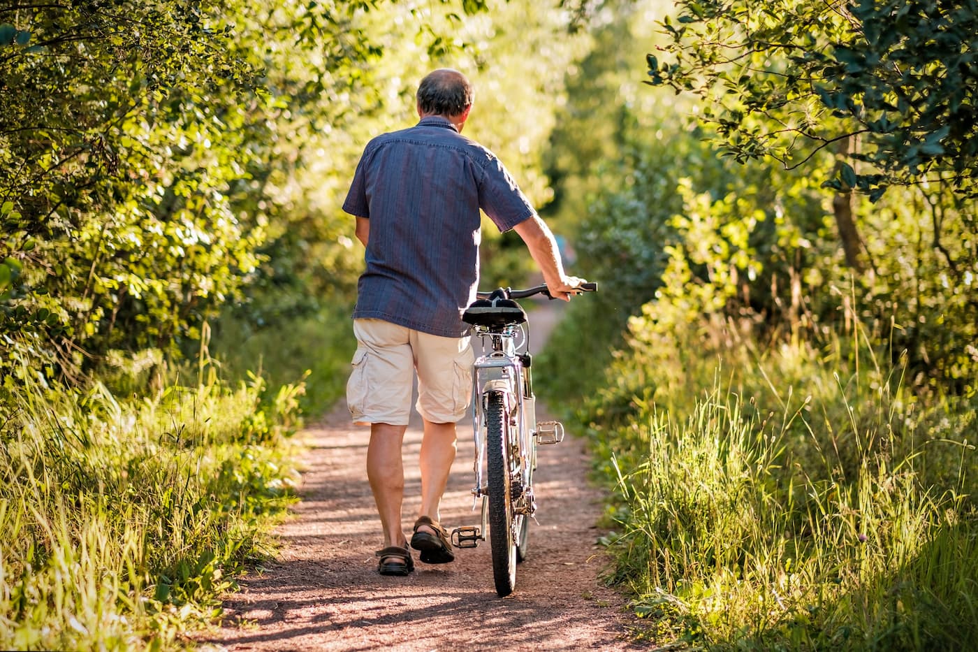 Vélo forêt