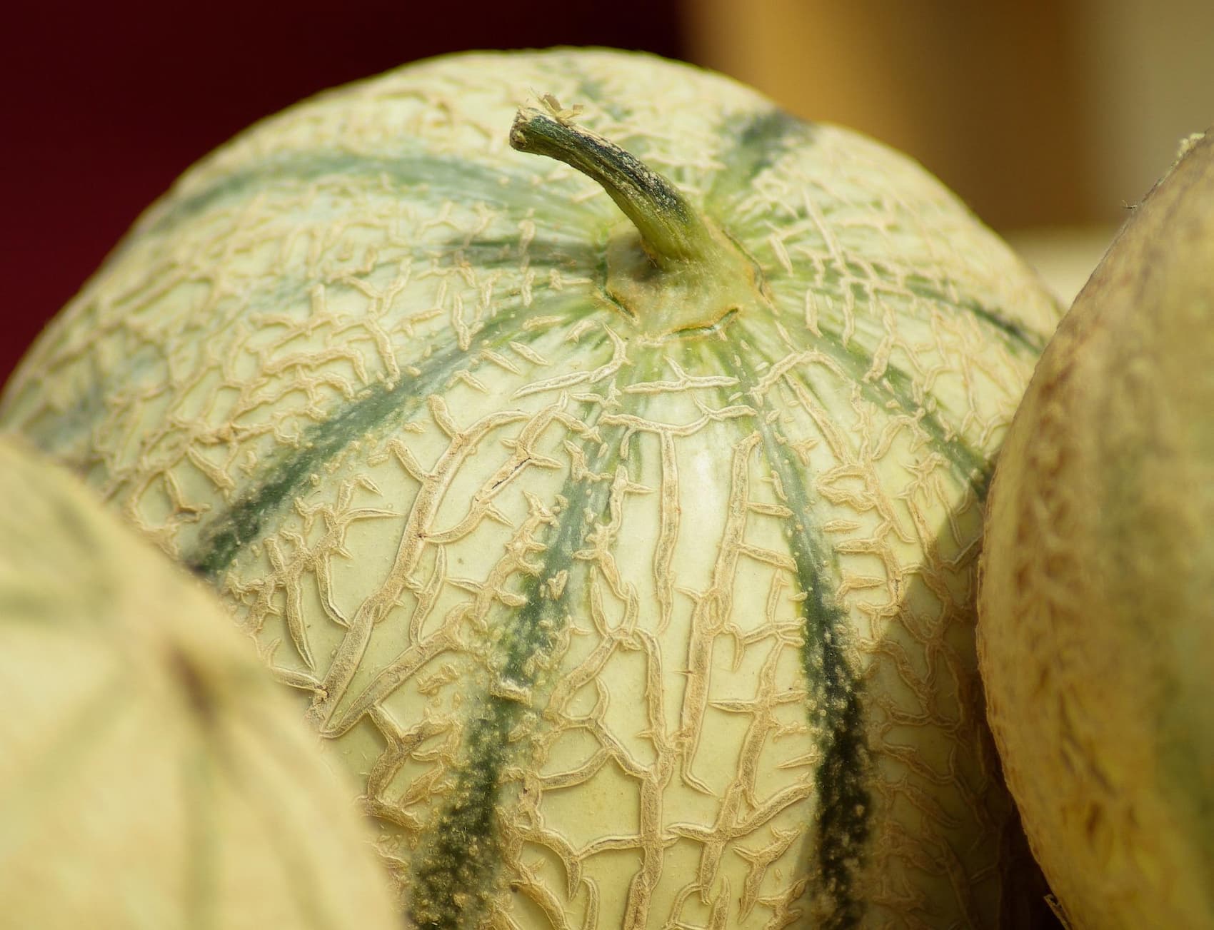 Melon du Haut-Poitou