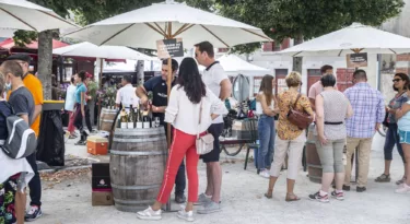 fete des vendanges de cheverny