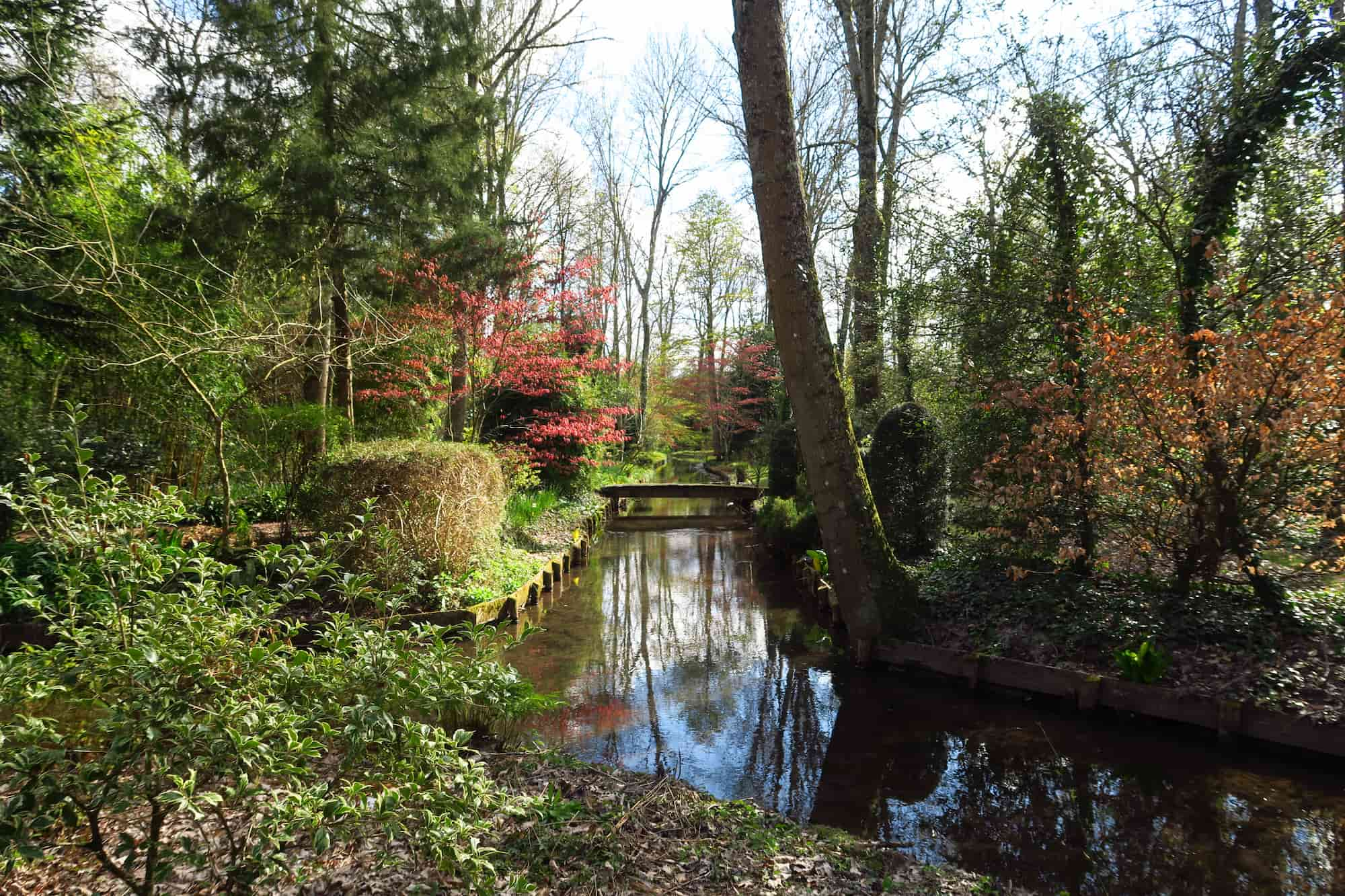 arboretum ilex