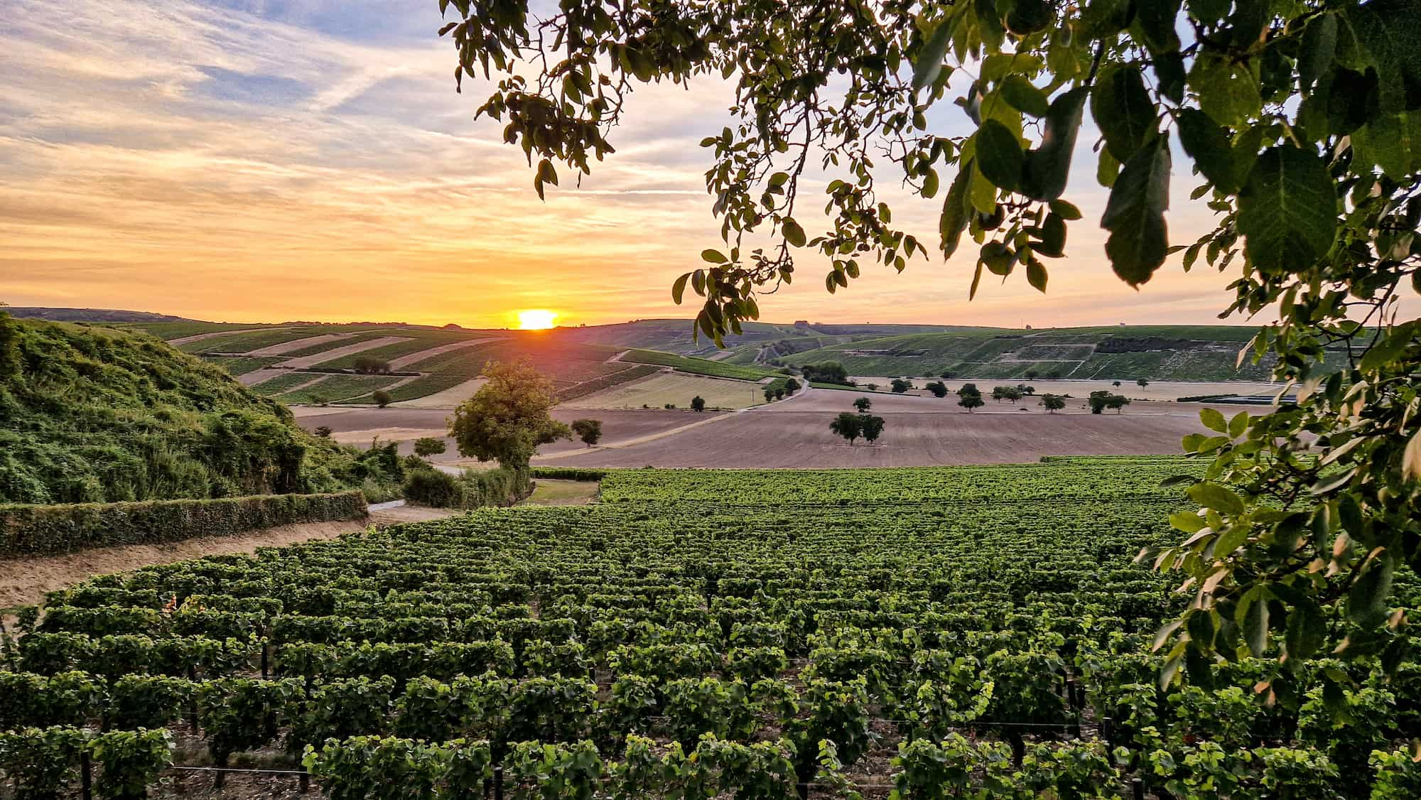 Sancerre My Loire Valley