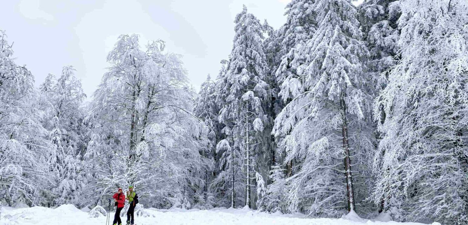 Haut Folin en hiver Nièvre