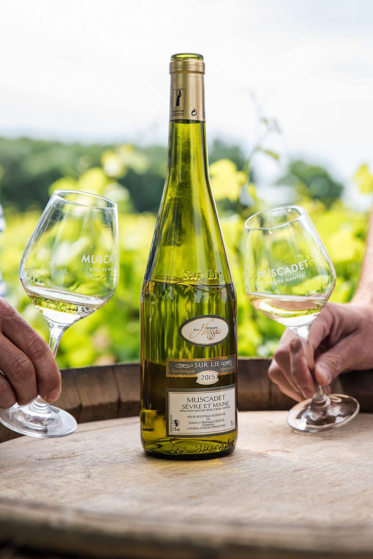 Muscadet un délicieux vin blanc de la LoireAtlantique
