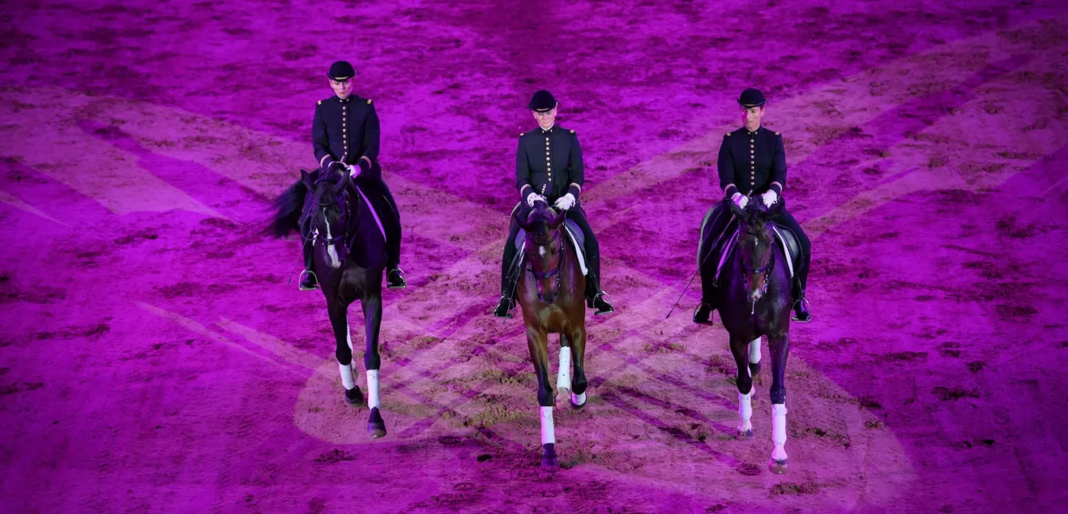 Gala du Cadre noir de Saumur