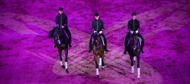 Au cœur de la tradition équestre française : les Matinales au Cadre noir de Saumur