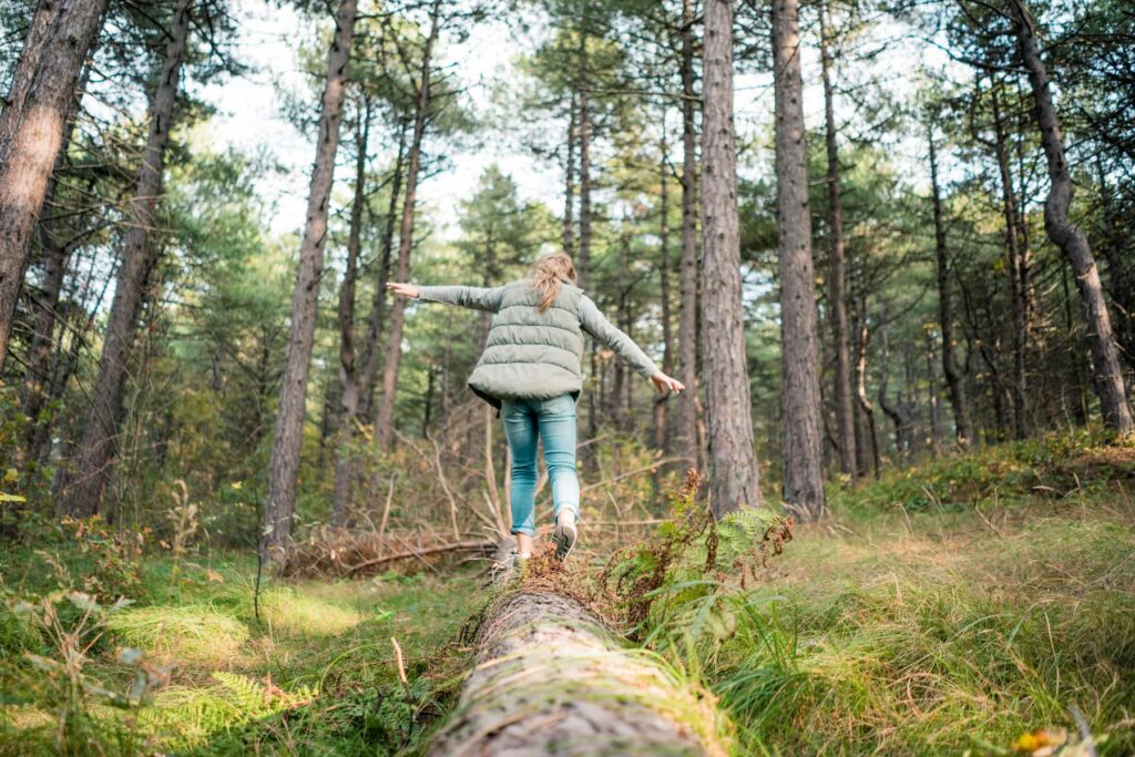 Forêts en Maine-et-Loire