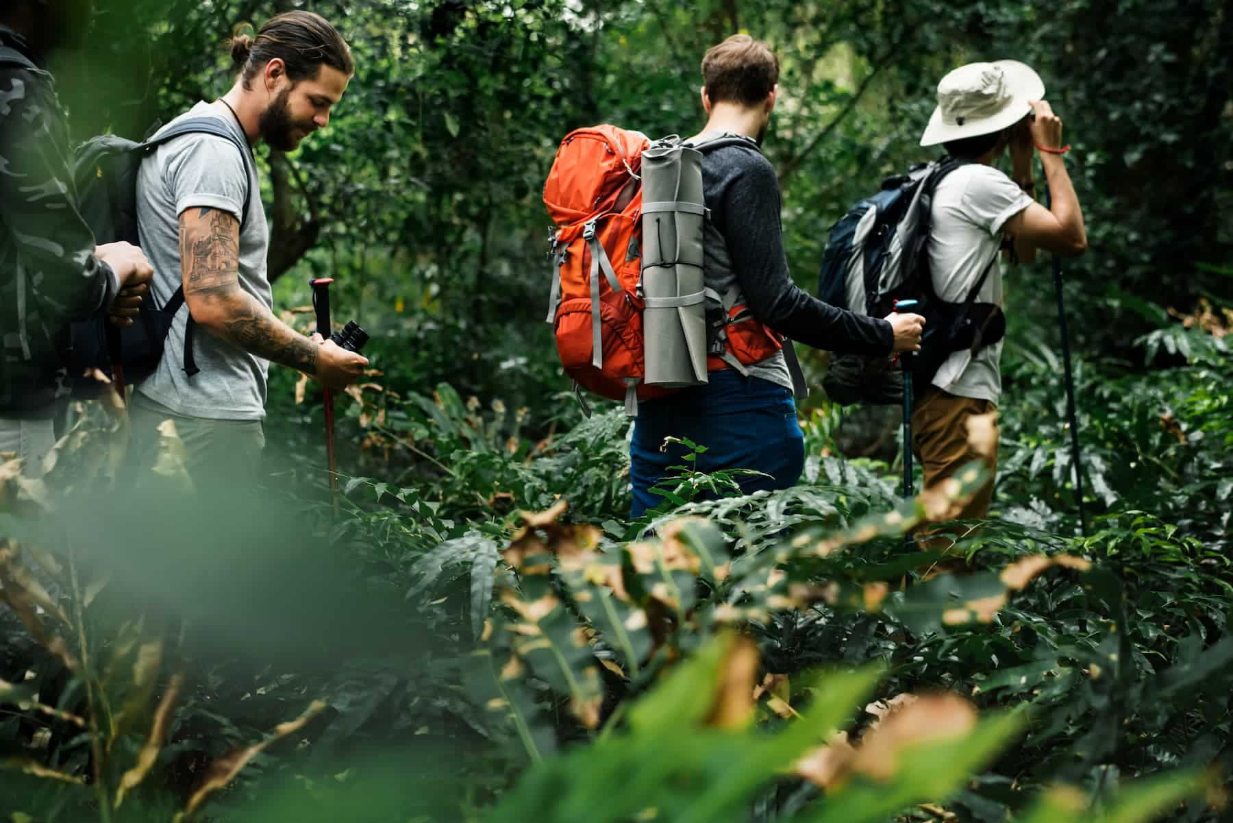 Découvrez les meilleures balades en forêt à Nantes