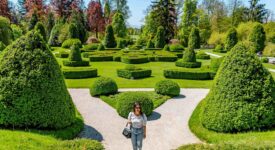 arboretum en vallée de la loire