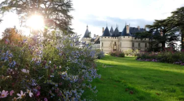 domaine de chaumont sur Loire