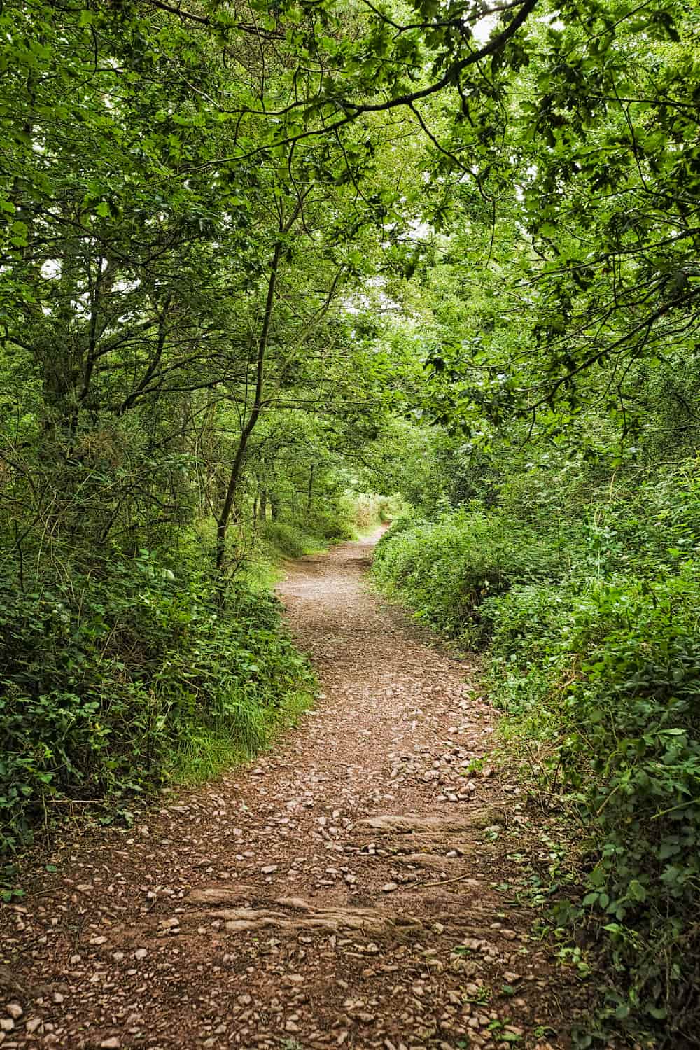 forêts de Tours