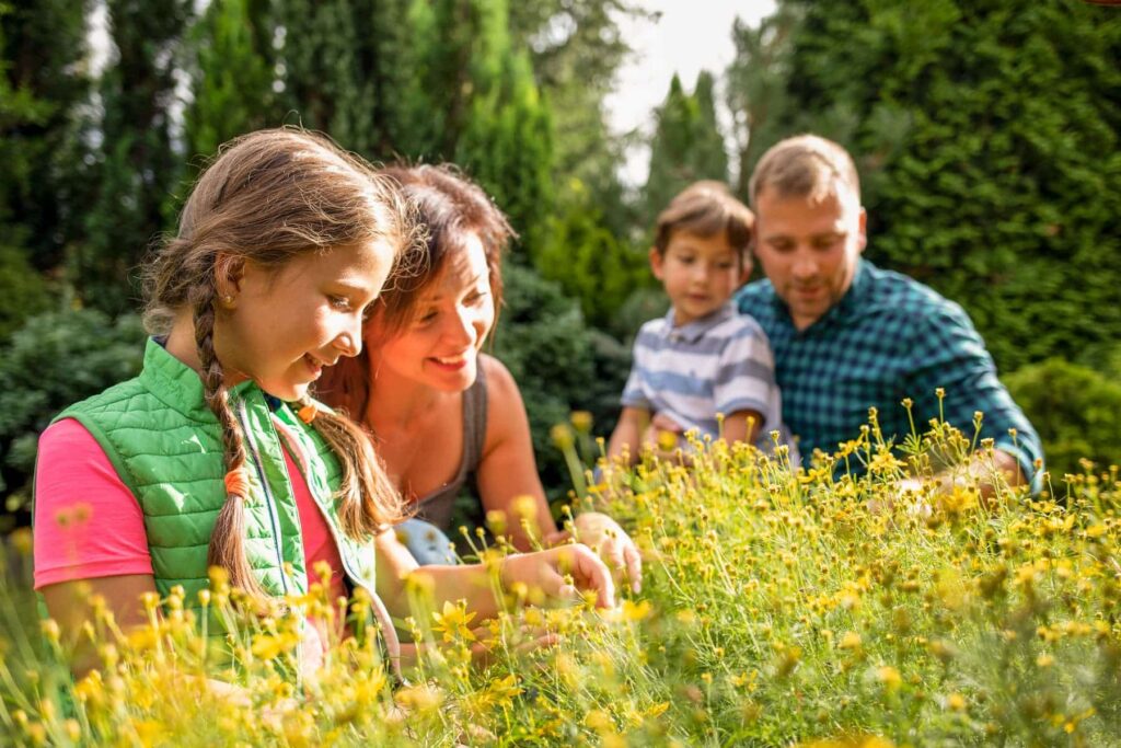 rendez-vous aux jardins 2023